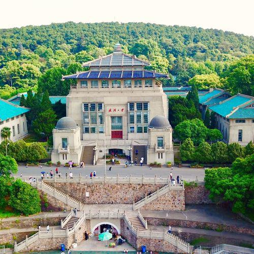 武汉大学(图2)