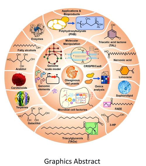 合成生物学(图3)