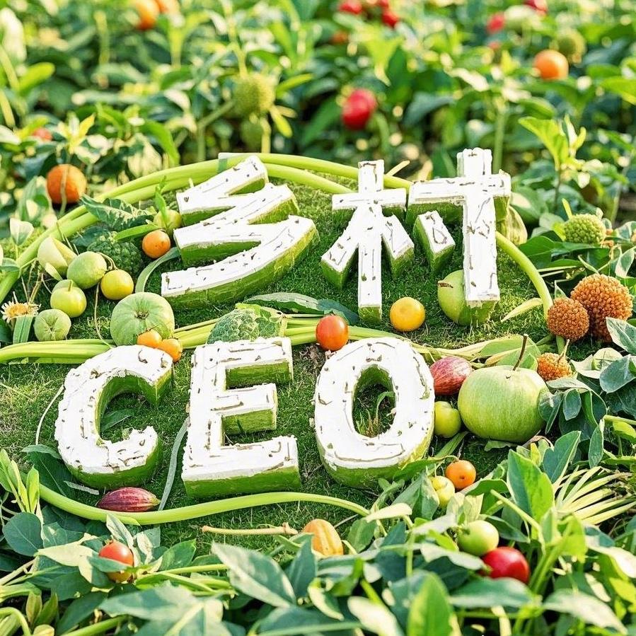 乡村CEO(图1)