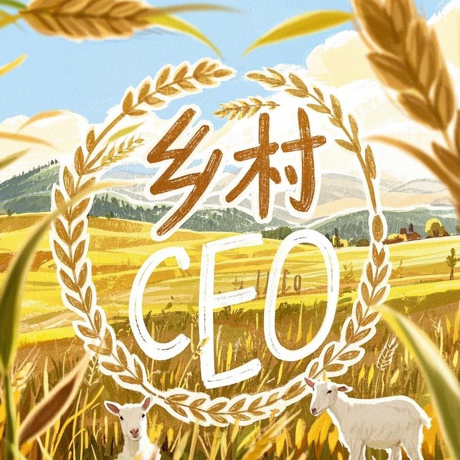 乡村CEO