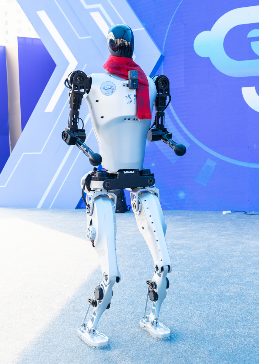 人形机器人(图2)