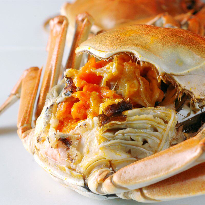 阳澄湖大闸蟹(图6)