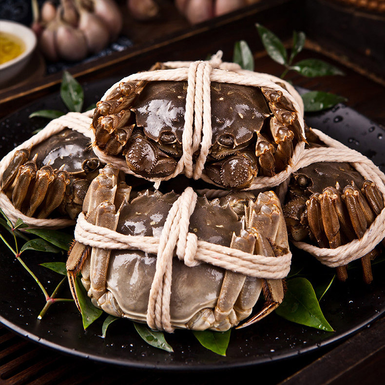 阳澄湖大闸蟹(图8)