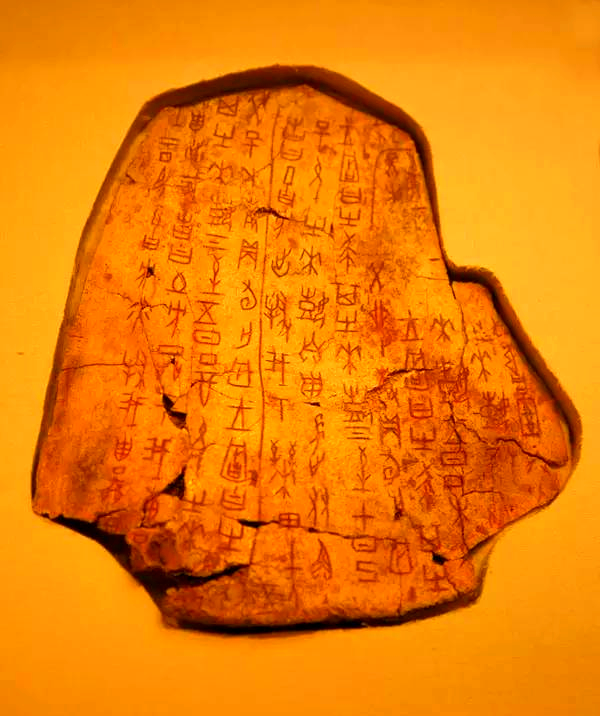 七体(图1) 七体(图1)