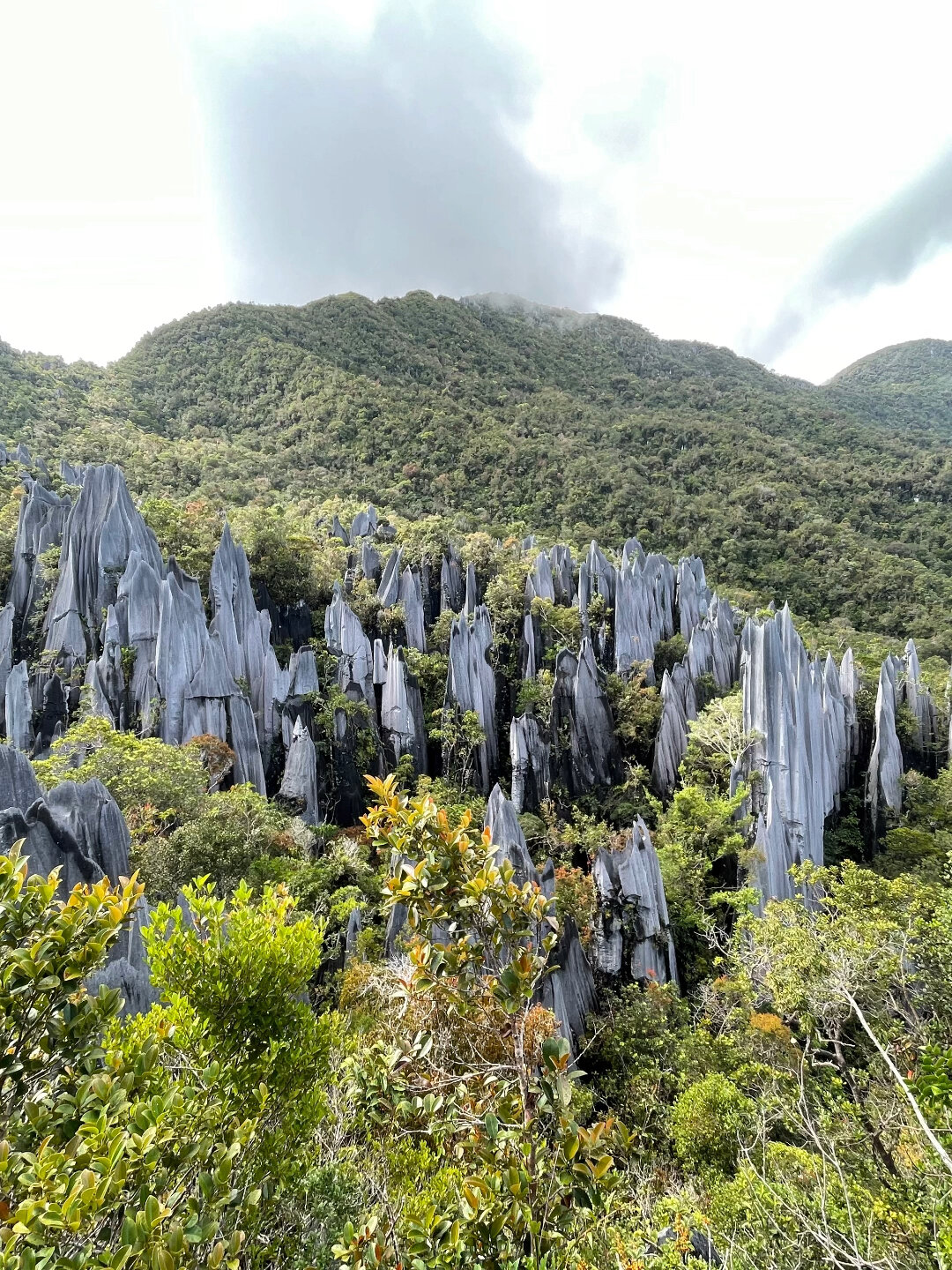 内姆鲁特山(图2) 内姆鲁特山(图2)