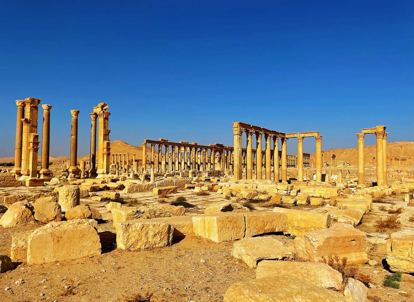 贾米拉(图5) 贾米拉(图5)