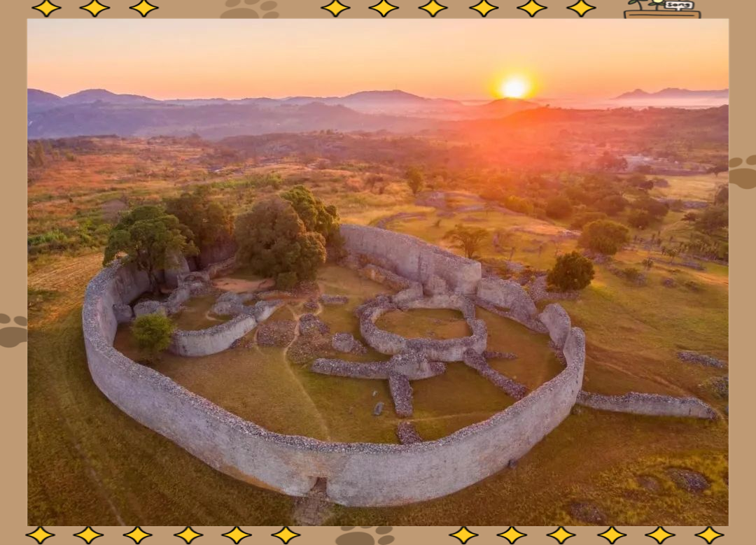 大津巴布韦(图3)