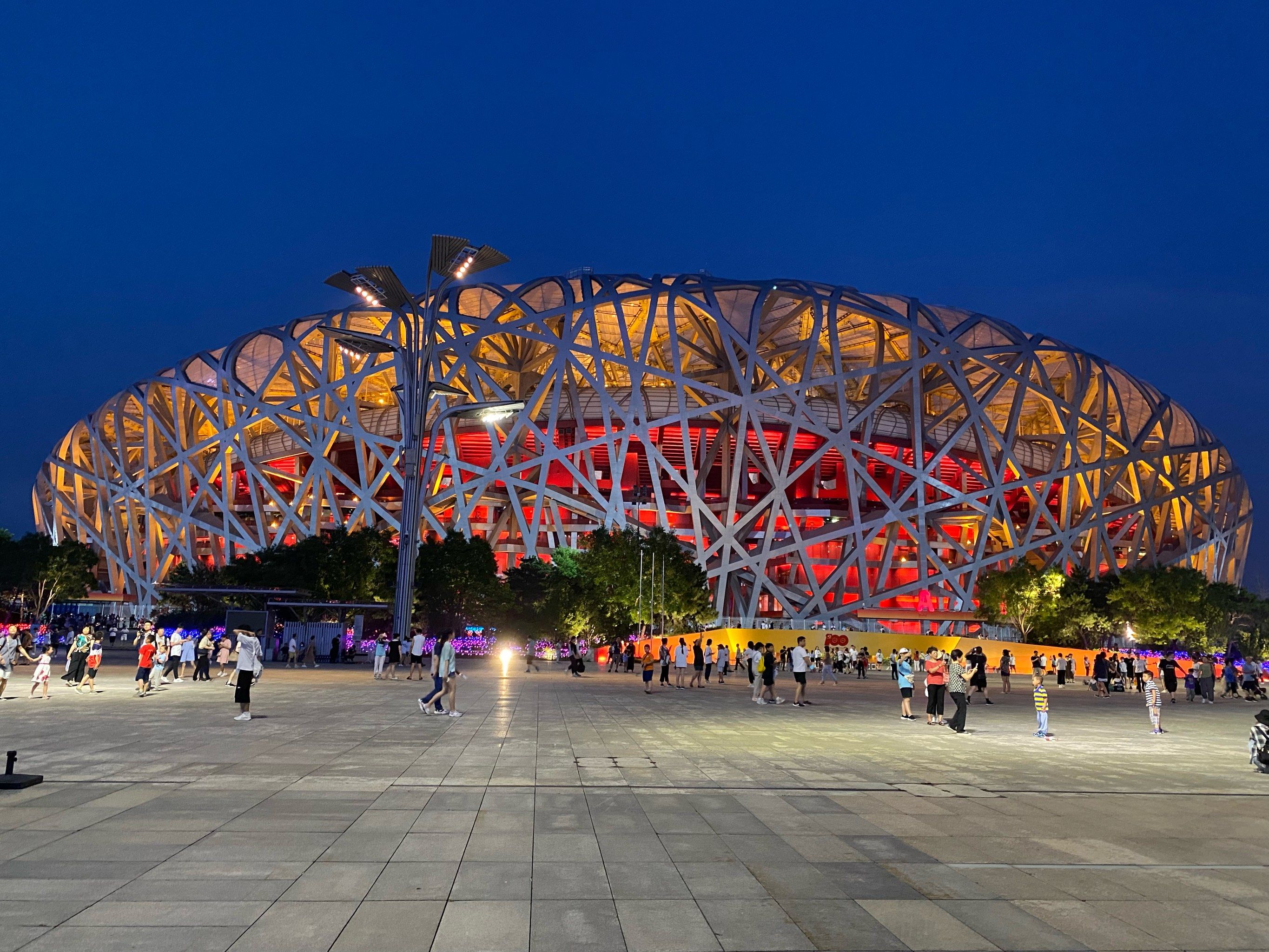 鸟巢(图3) 鸟巢(图3)