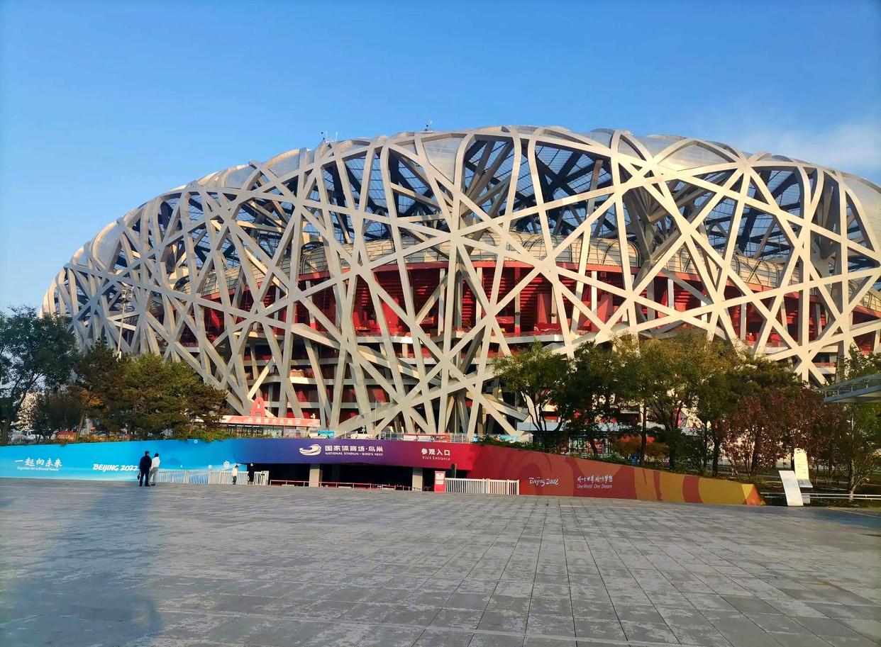 鸟巢(图6) 鸟巢(图6)