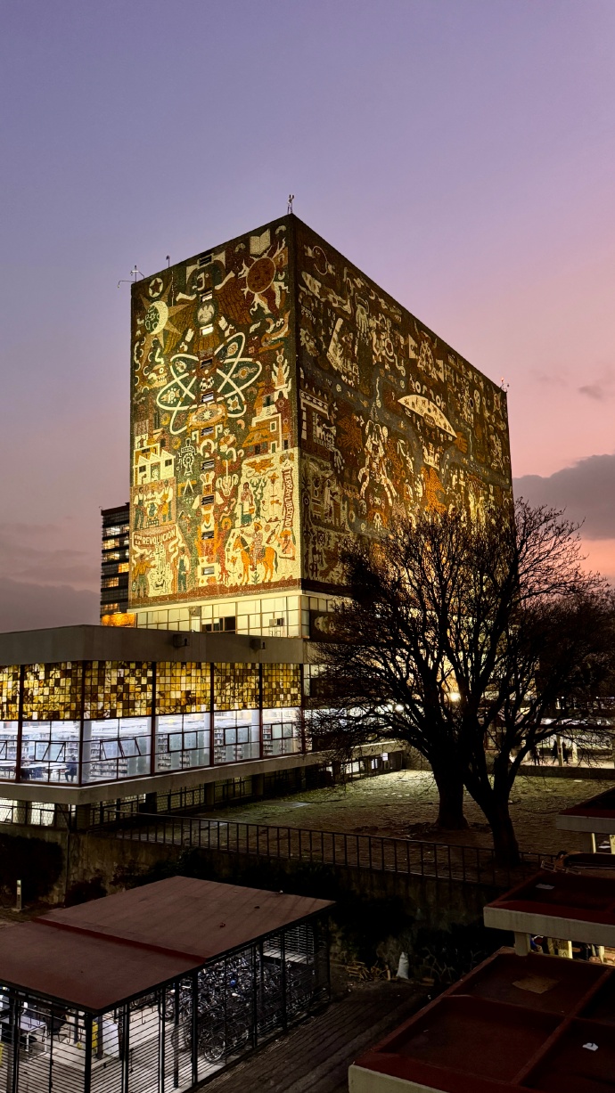 墨西哥国立自治大学中央图书馆(图6)