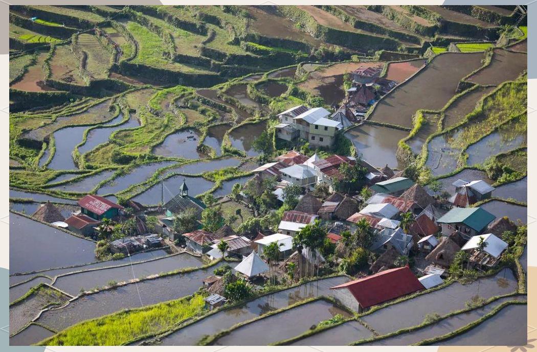 巴拿威梯田(图1) 巴拿威梯田(图1)