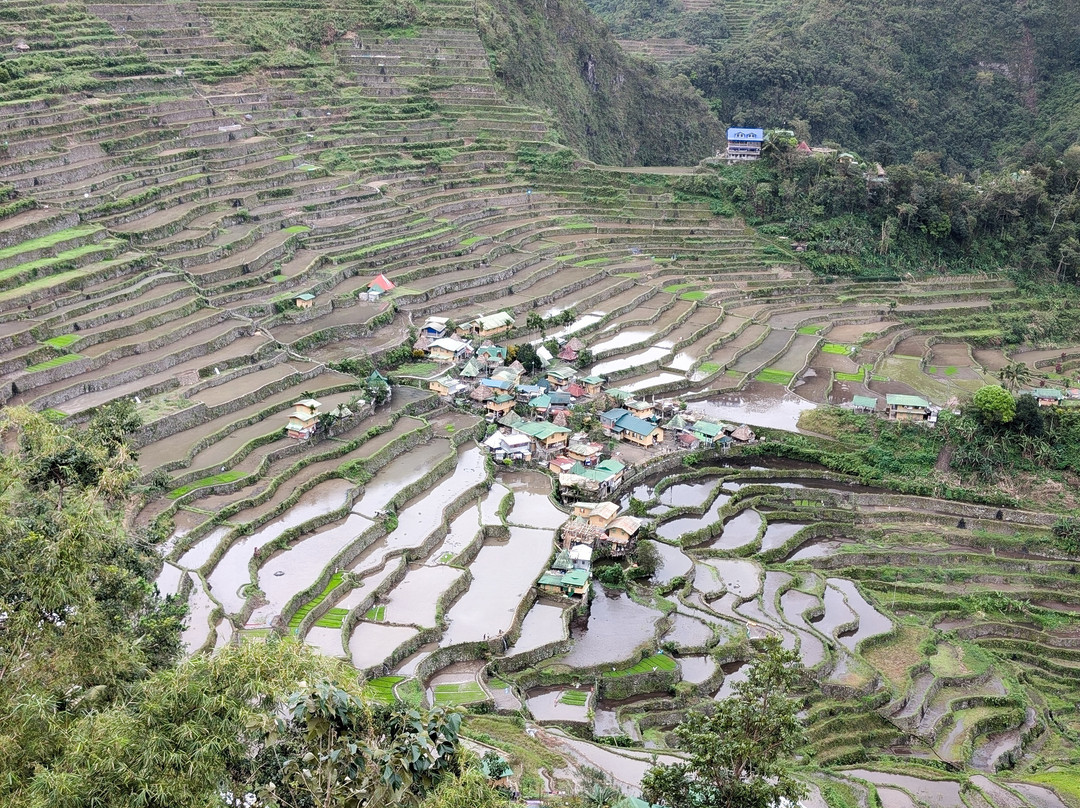 巴拿威梯田(图4) 巴拿威梯田(图4)