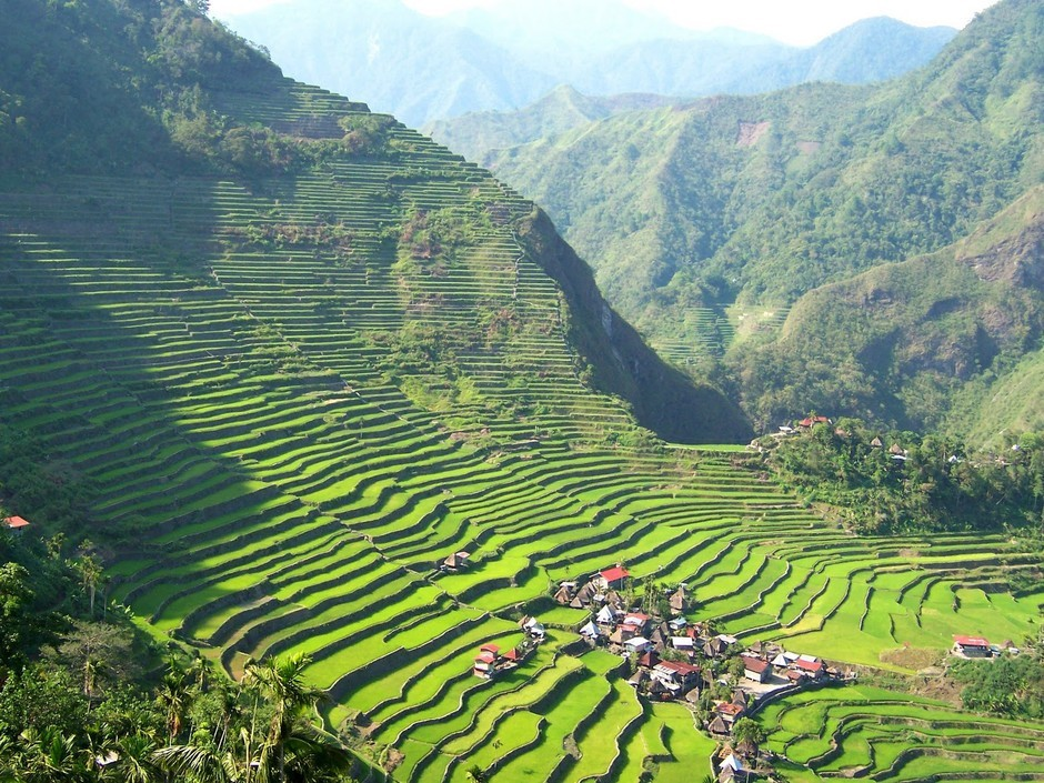 巴拿威梯田(图5) 巴拿威梯田(图5)