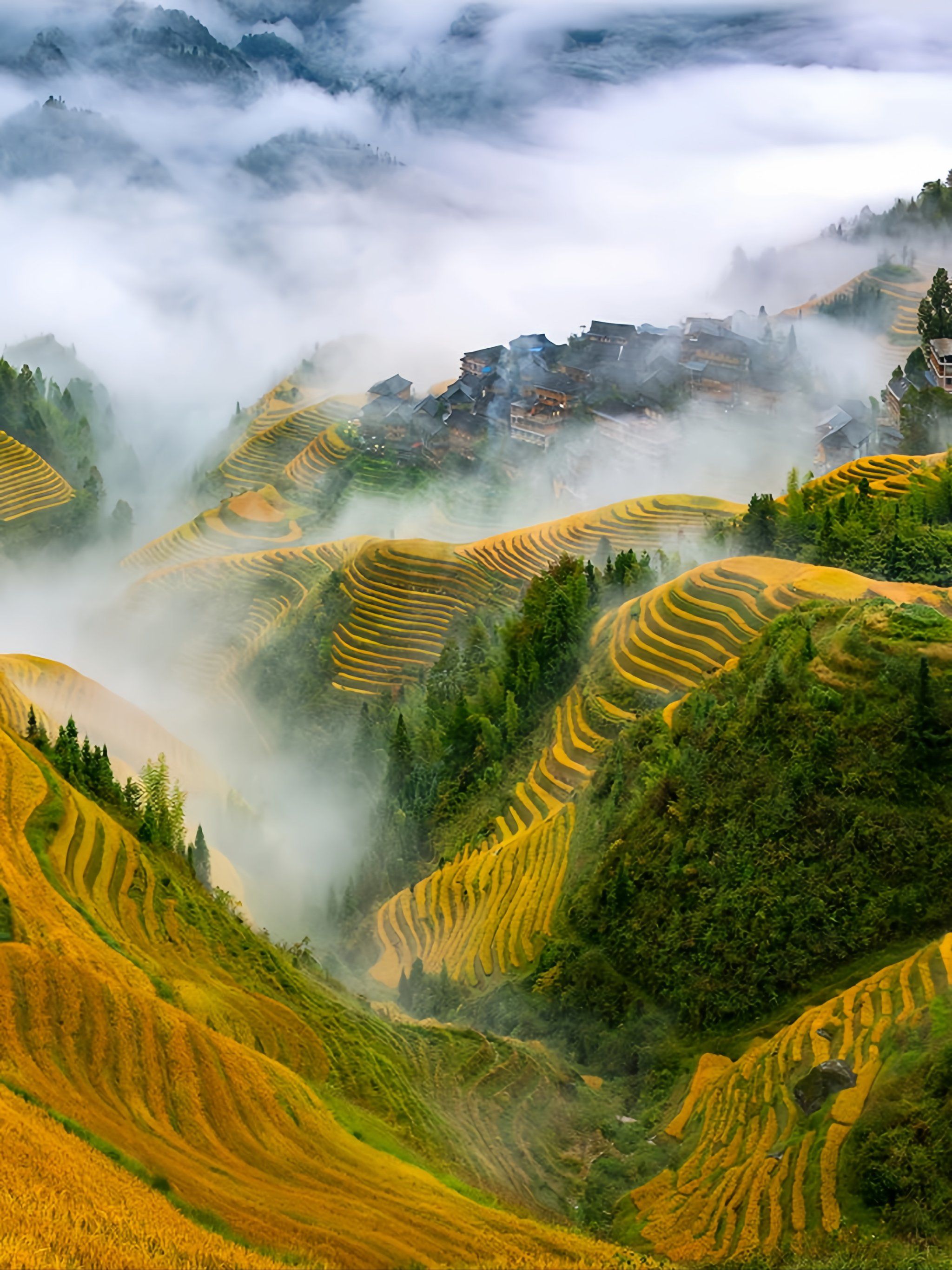 龙脊梯田(图1) 龙脊梯田(图1)