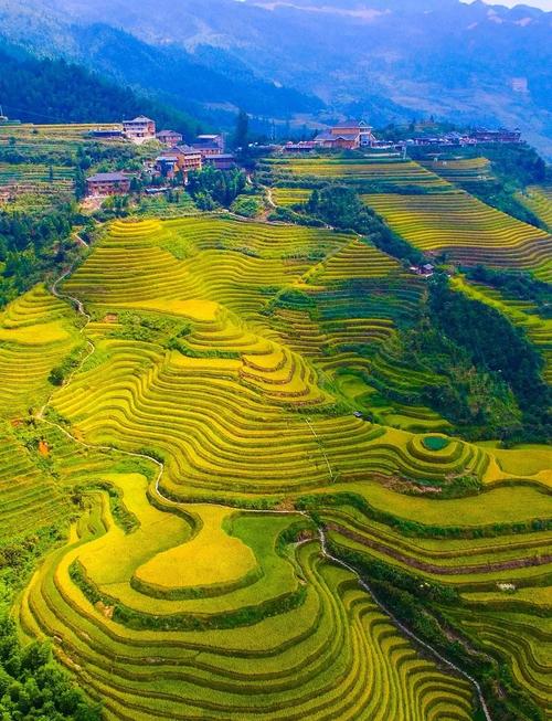 龙脊梯田(图3) 龙脊梯田(图3)