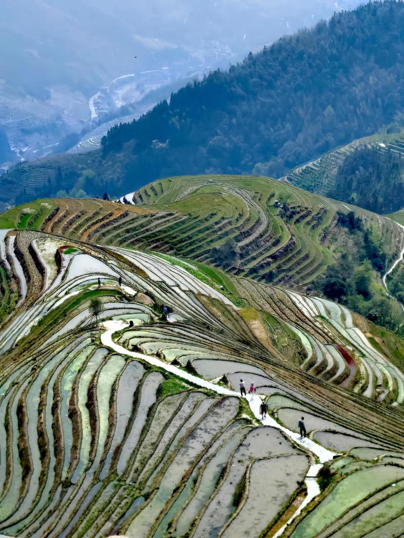 龙脊梯田(图5) 龙脊梯田(图5)