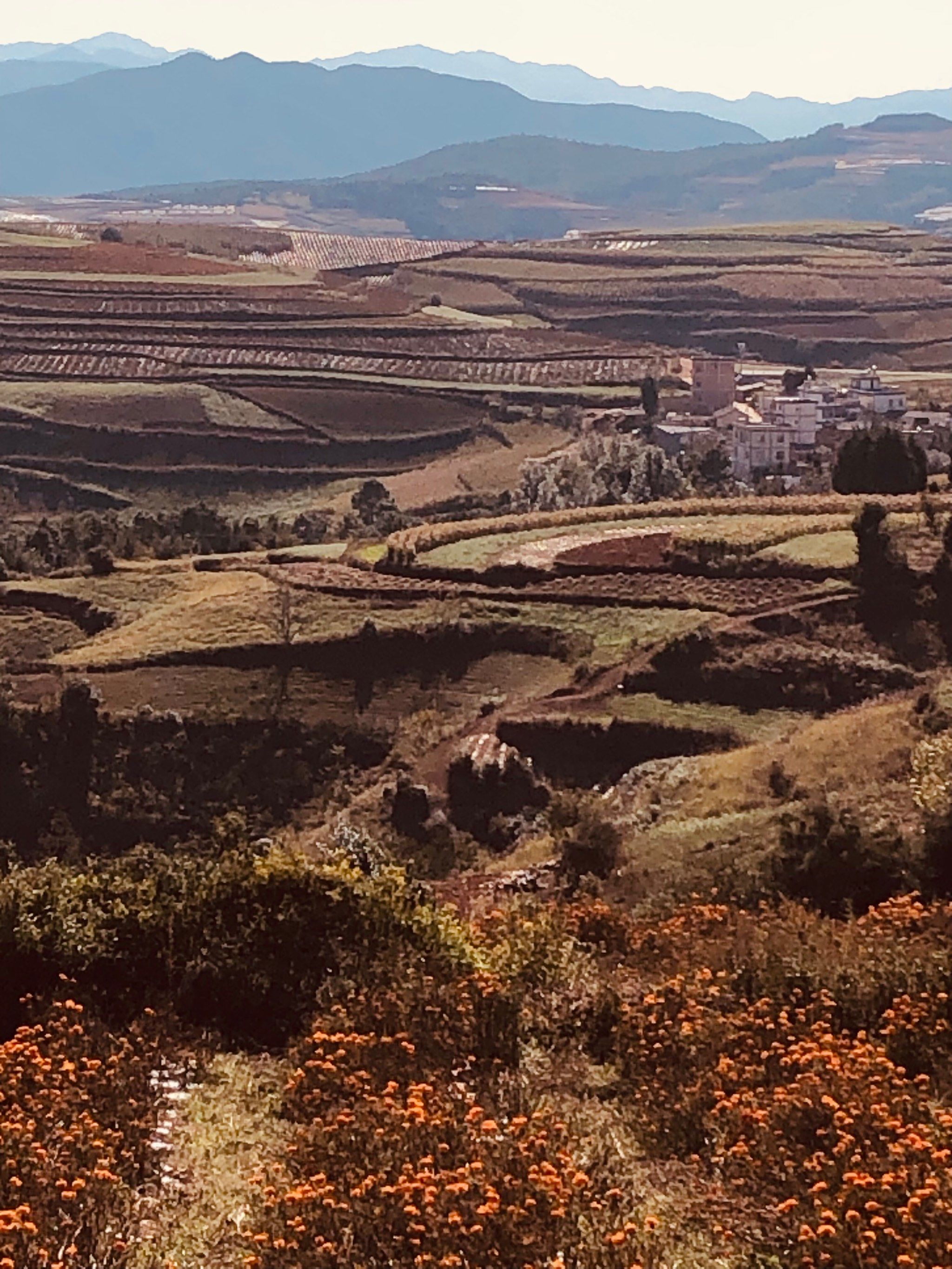 东川红土地(图1) 东川红土地(图1)