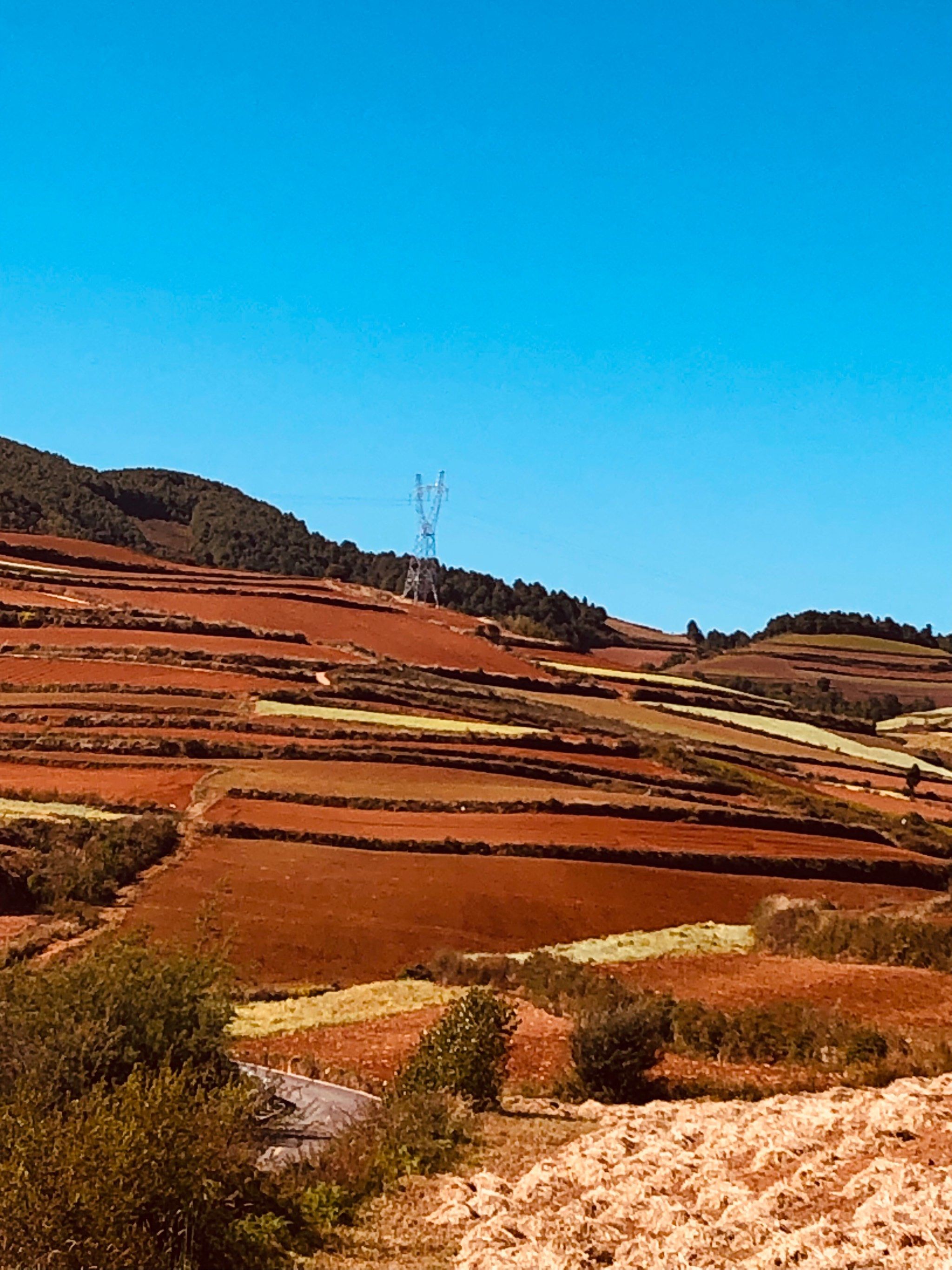 东川红土地(图3) 东川红土地(图3)