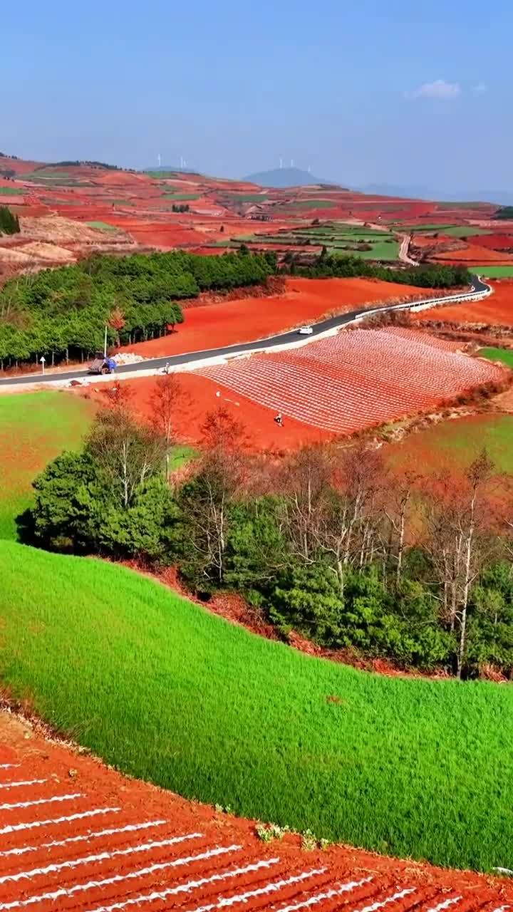 东川红土地(图4) 东川红土地(图4)