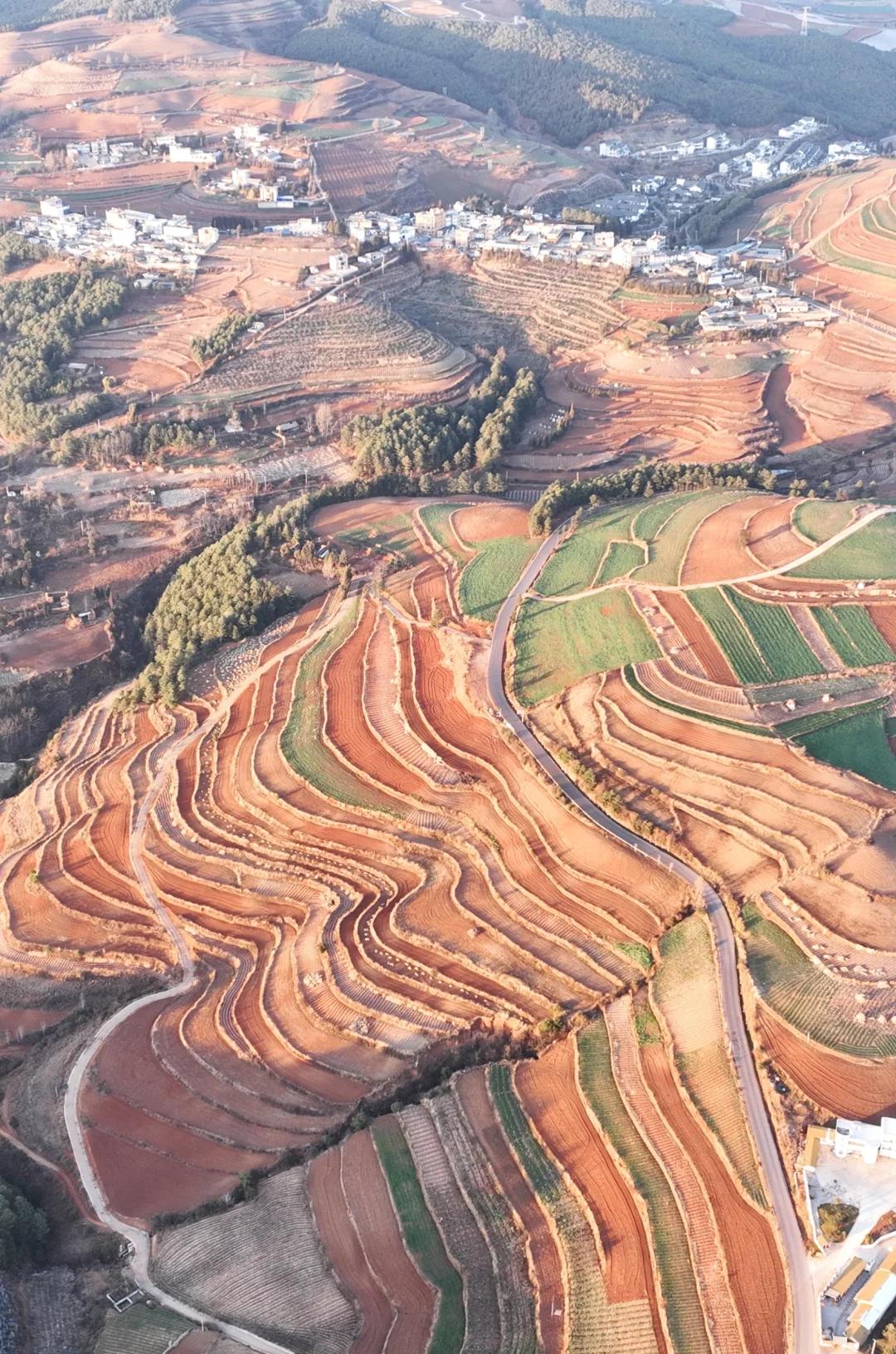 东川红土地(图6) 东川红土地(图6)