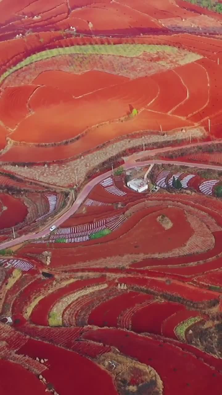 东川红土地(图5) 东川红土地(图5)