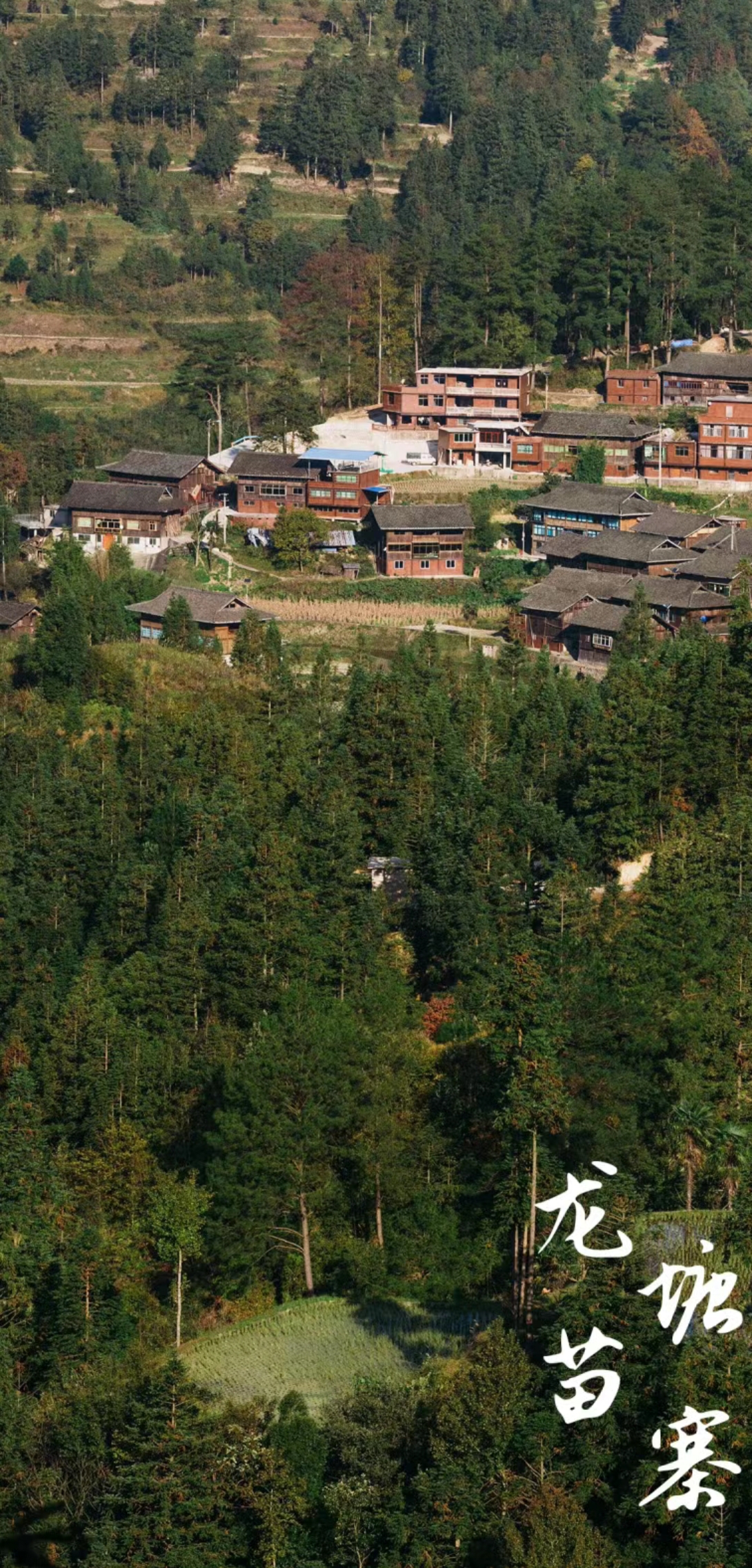 龙塘寨(图5) 龙塘寨(图5)