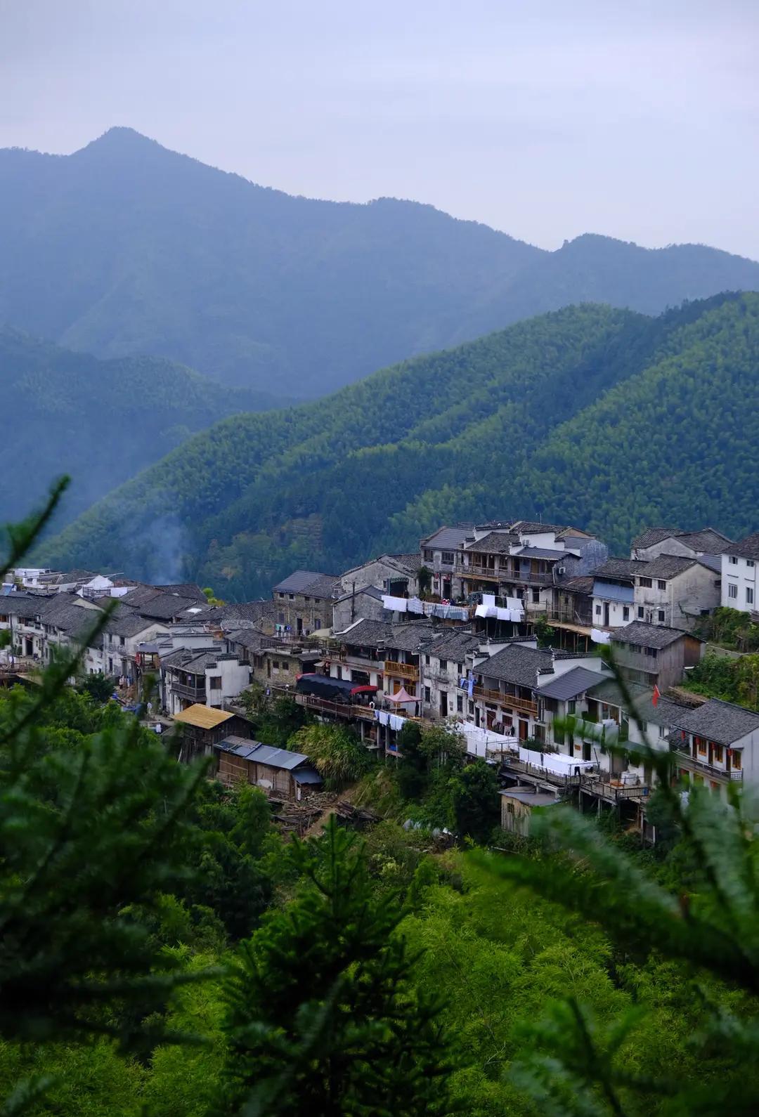 枫木岭村(图3) 枫木岭村(图3)