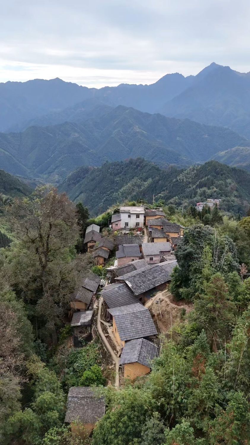 枫木岭村(图2) 枫木岭村(图2)