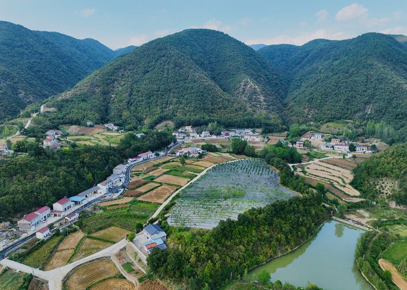 茅坪村(图3) 茅坪村(图3)