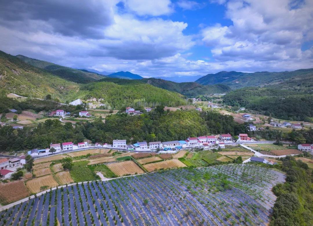 茅坪村(图4) 茅坪村(图4)