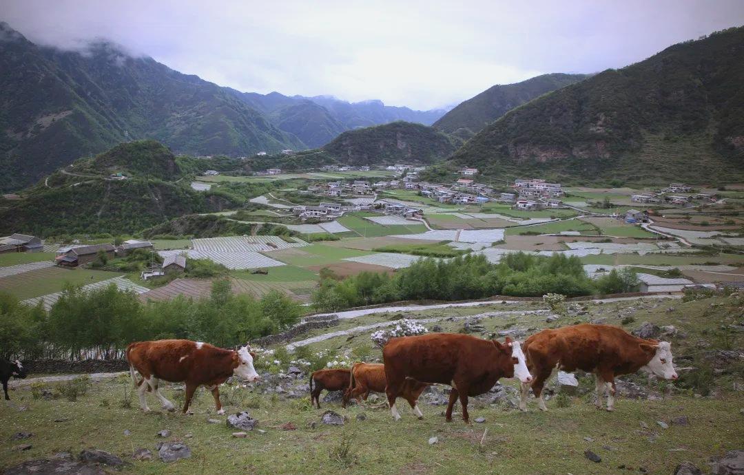 云盘村(图2) 云盘村(图2)