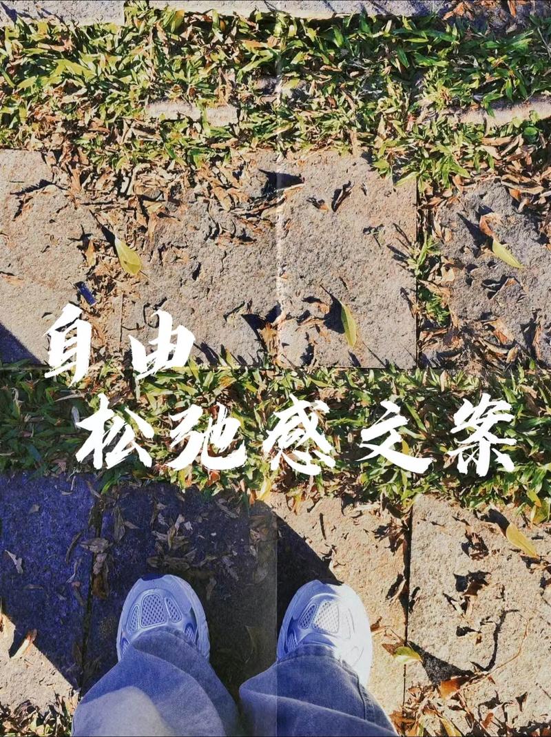 松弛感(图5) 松弛感(图5)