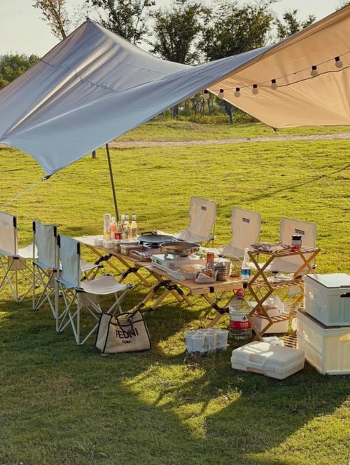 精致露营(图2) 精致露营(图2)