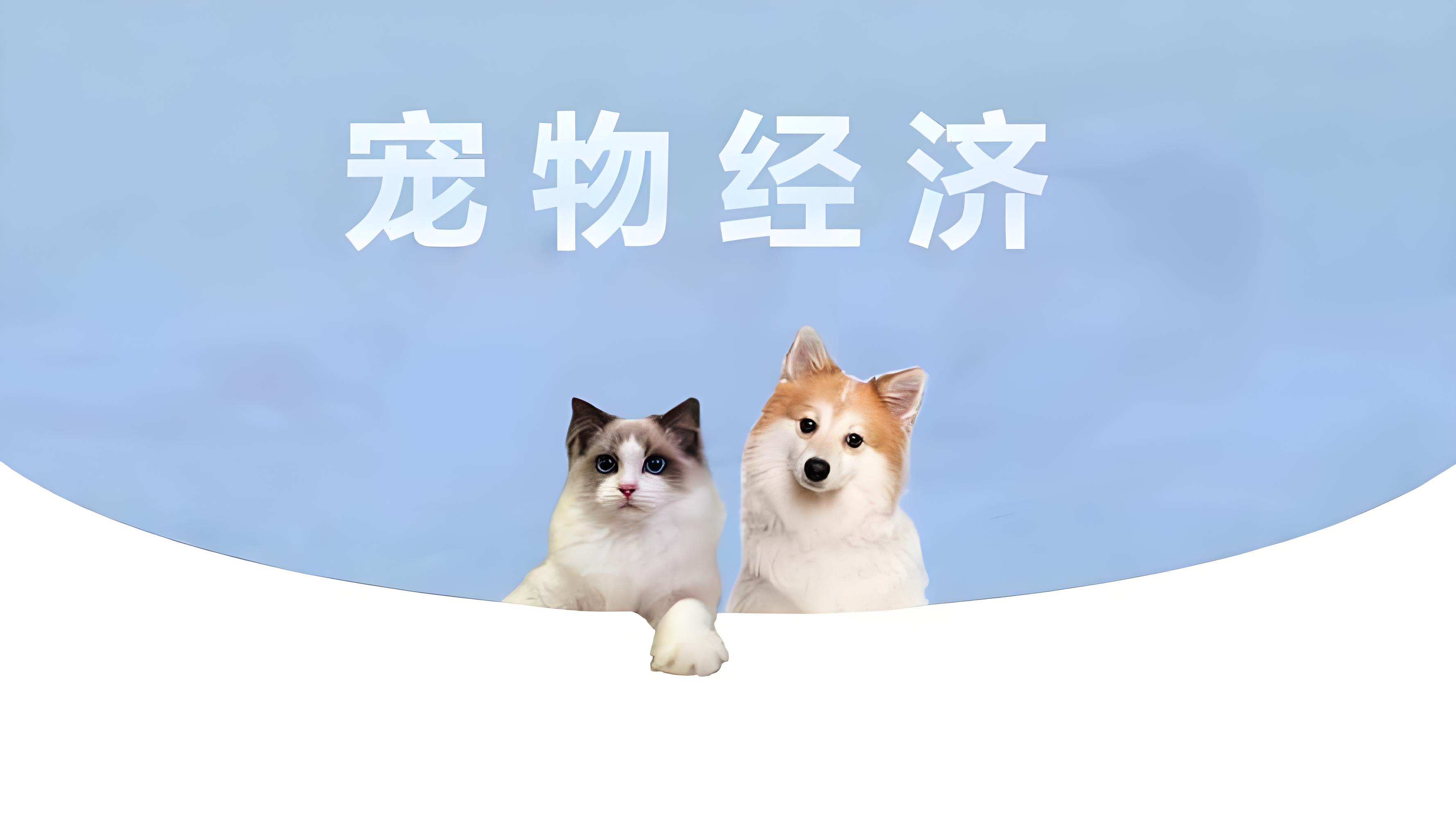 宠物经济