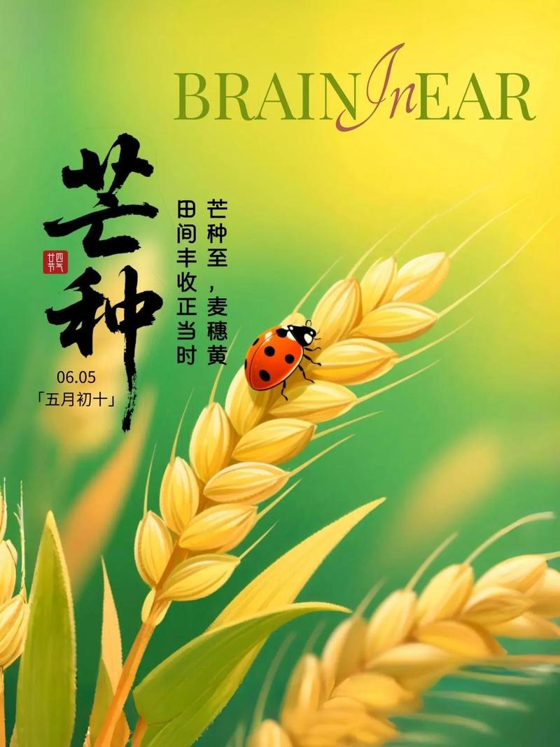 二十四节气(图3)