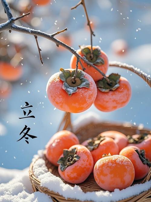 二十四节气(图5)