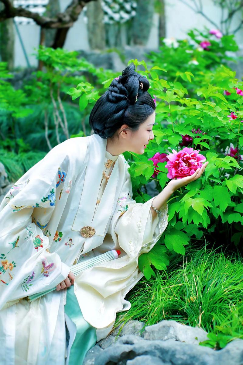 国风美学(图1)