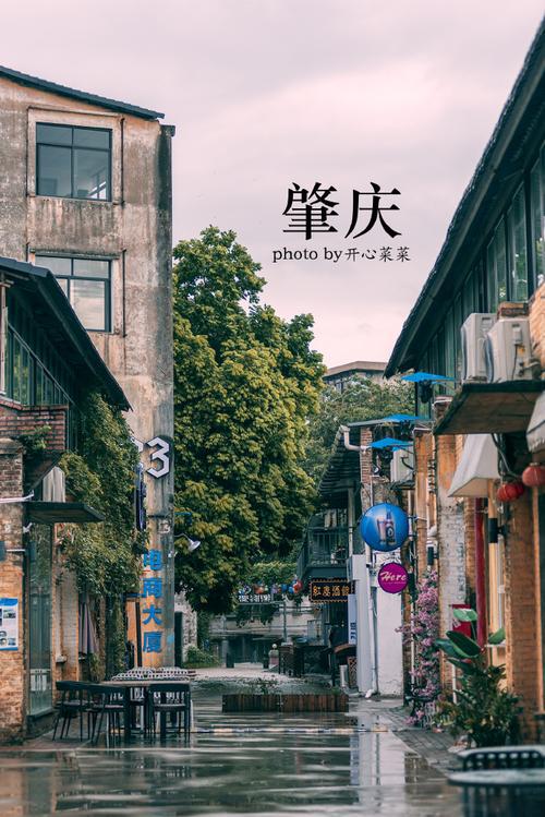 网红文旅打卡