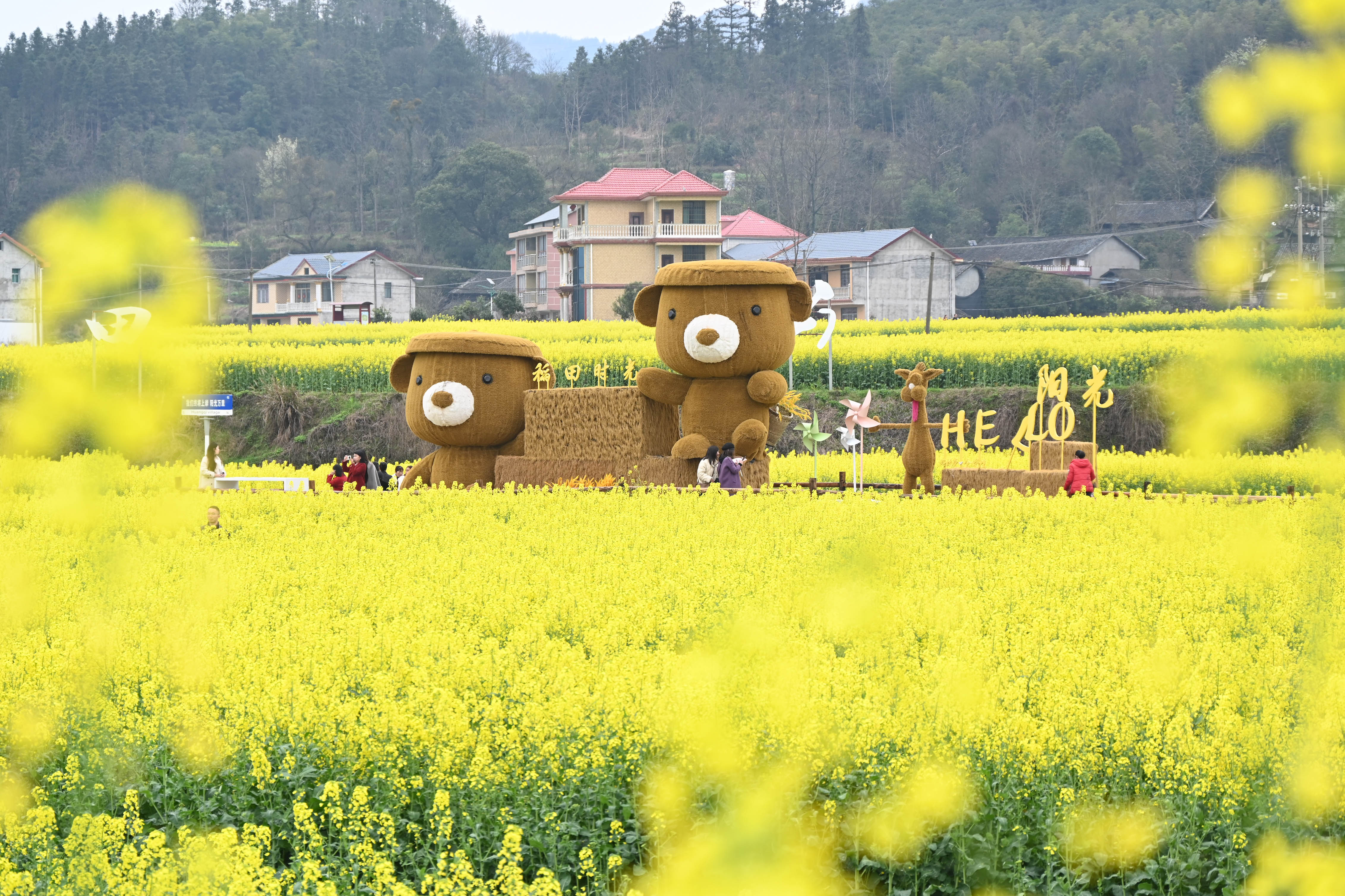 乡村旅游(图2)