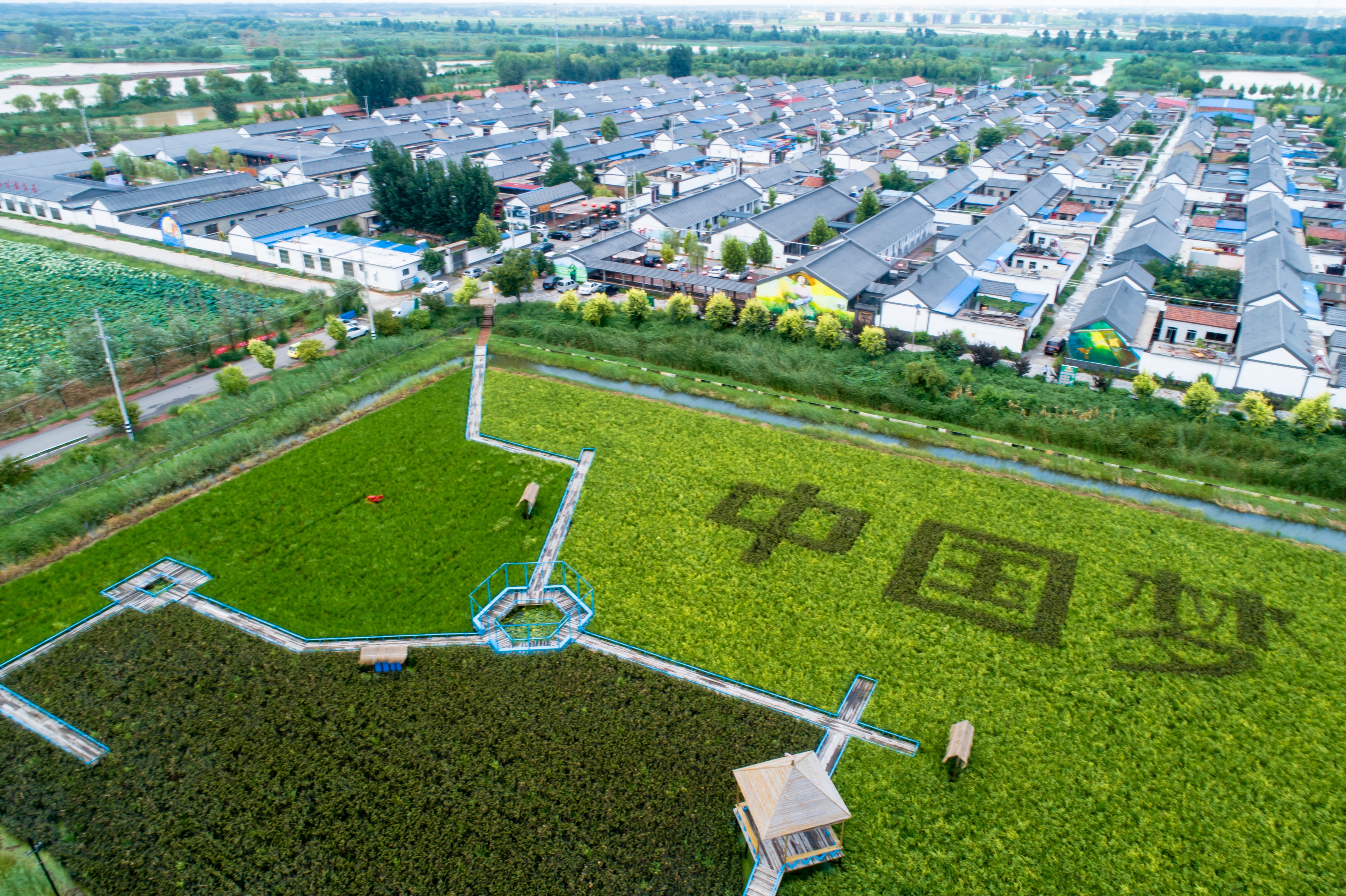 乡村旅游