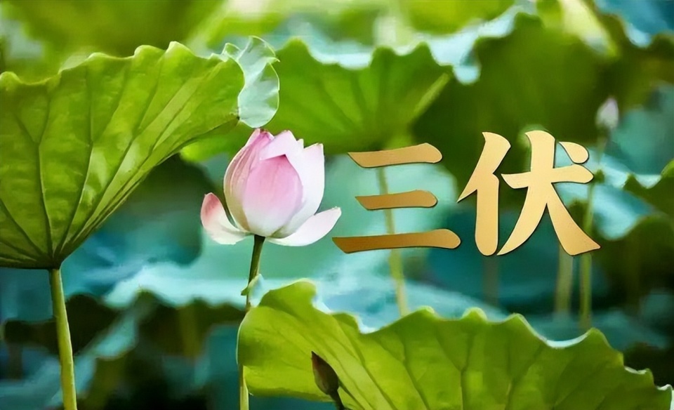 三伏推算